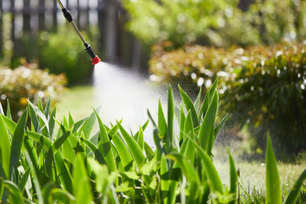 24/7 Emergency Mosquito Control experts in Tuckahoe, NY